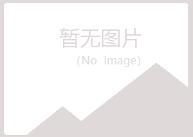 山西紫山能源有限公司